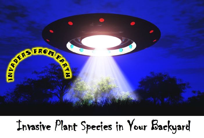 Flyer image for RCC events page