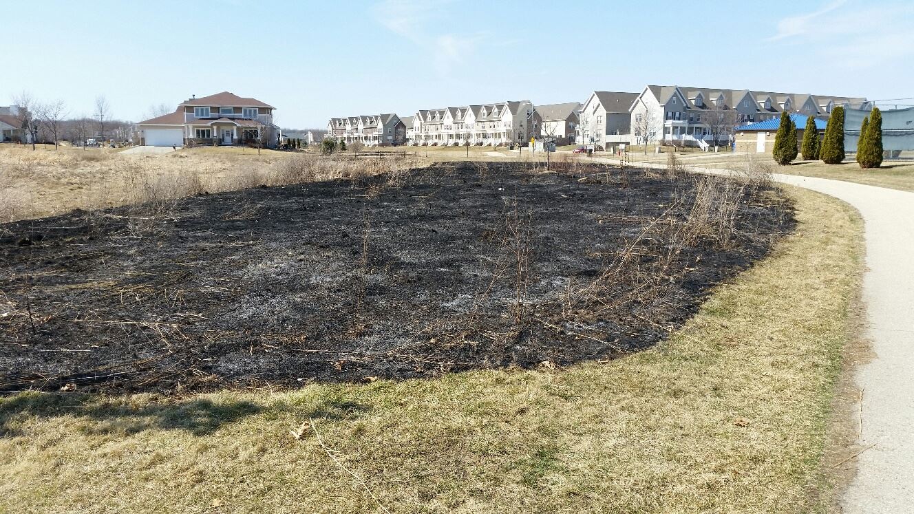 Swan Creek prescribed fire