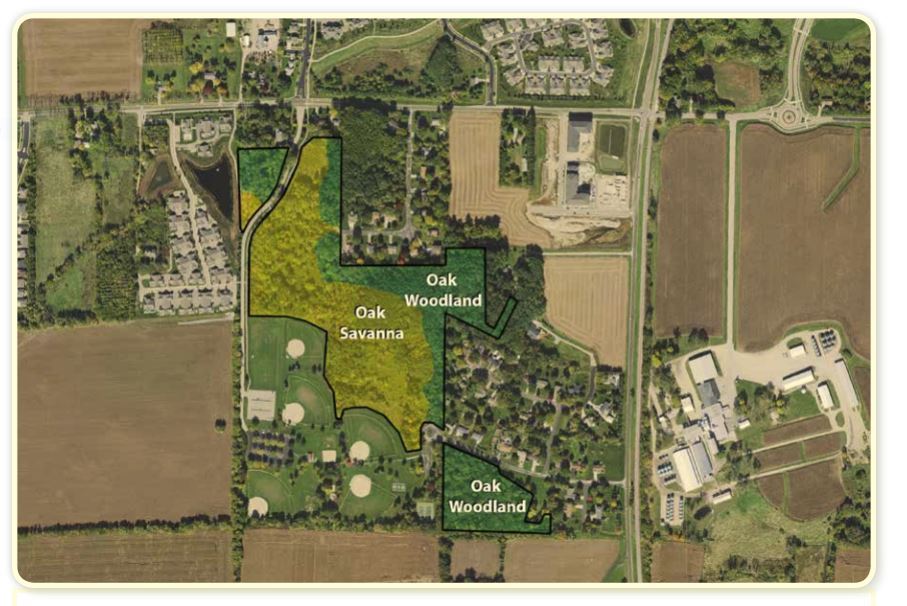 Desired Future Condition map of McGaw Park