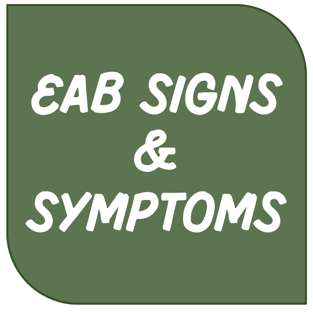 Signs and Symptoms