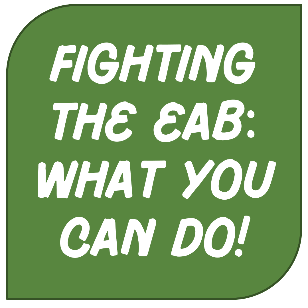 If You Have an Ash Tree Opens in new window