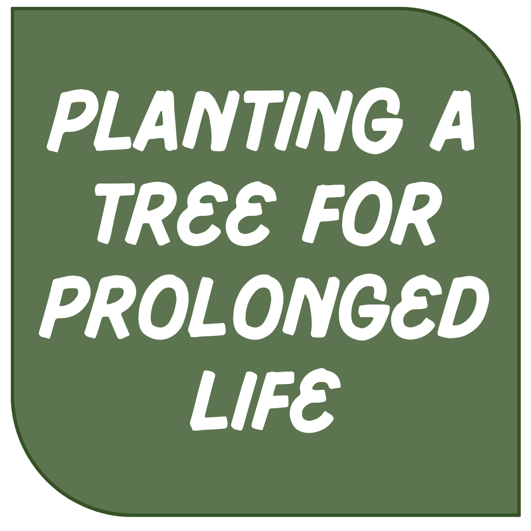 Icon Link - Prolonged Life Opens in new window