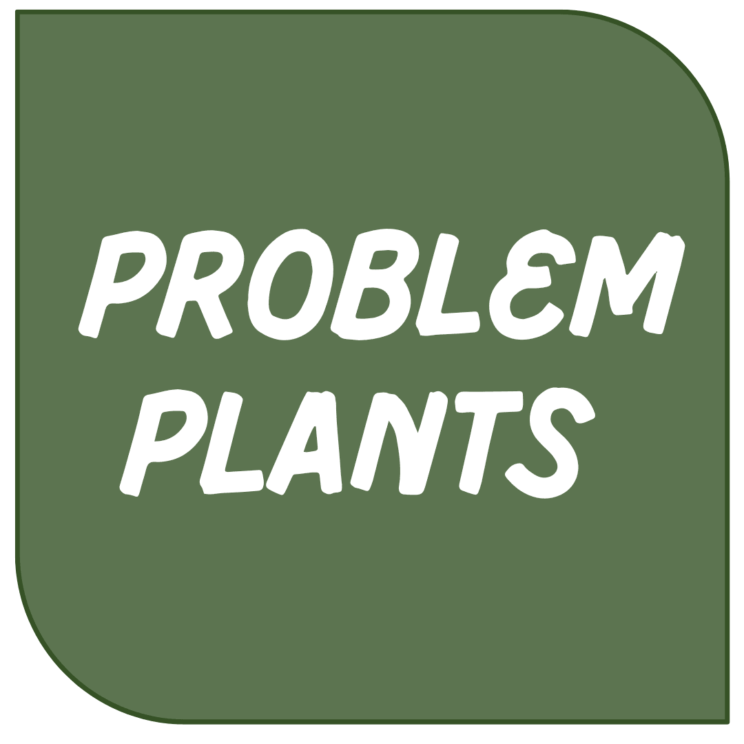 Icon Link - Problem Plants