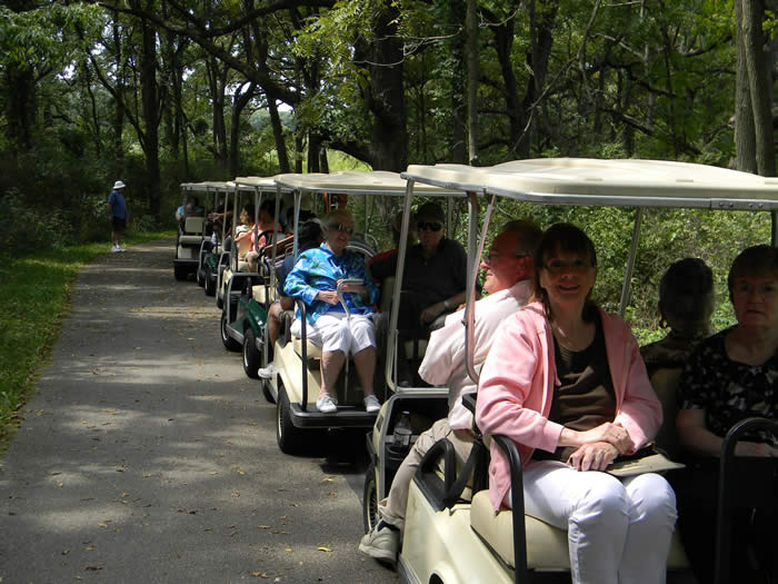 Golf Cart Ride 2